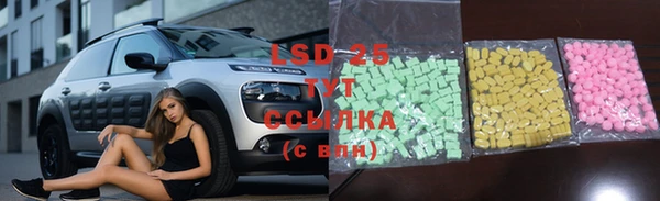 прущий лед Алзамай