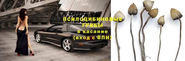 индика Абинск