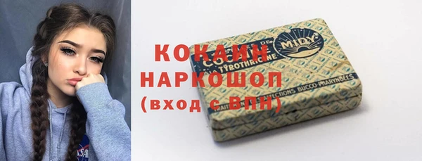 индика Абинск