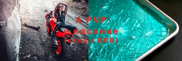 индика Абинск