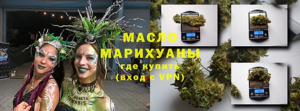 индика Абинск