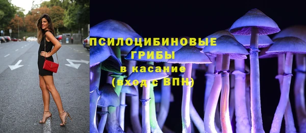 индика Абинск