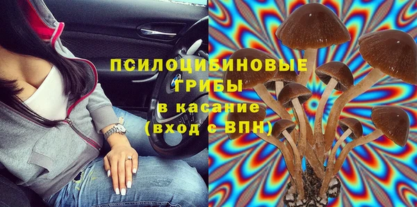 шишки Инсар